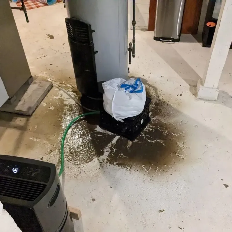 Sewage Backup Cleanup Service in Whitehall, OH